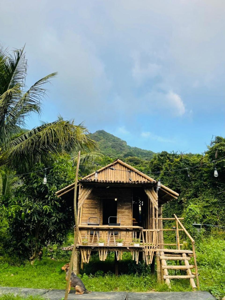 Con Dao Backpacker - Loco Camping Chi Khu Co Ong Esterno foto